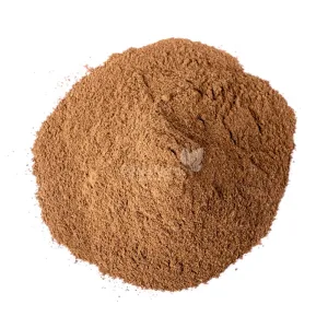 Canelá em Pó 100g (Ground Cinnamon) - JJ's